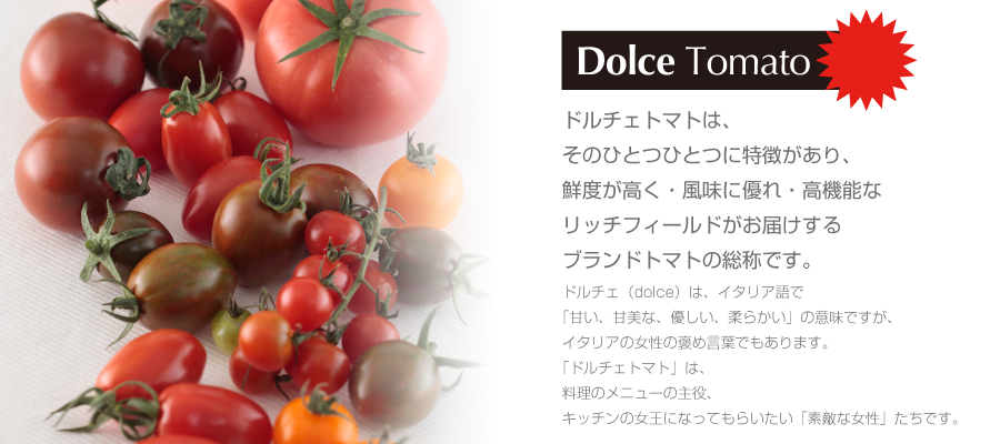 top02tomato-900-400.png