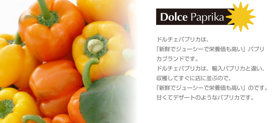 top02paprika-900-400.png
