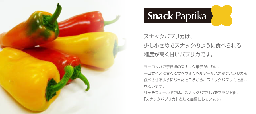 top02snack-900-400.png